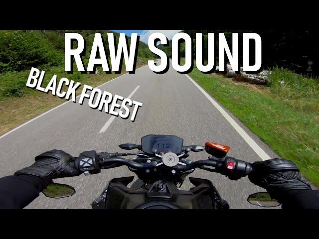 KTM Duke 790 Akrapovic Sound [RAW SOUND] Black Forest!