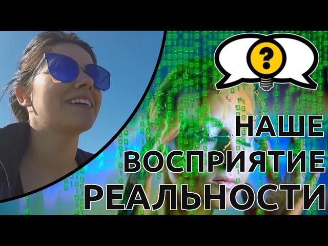 Наше восприятие реальности | Рид Найсвандер: Лайза