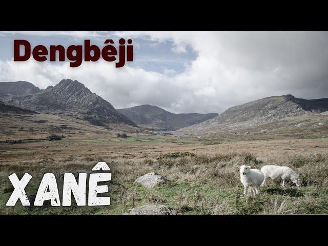 Xanê dengbeji - dertli kürtçe uzun hava.. stranen kurdi (kurdish music)️