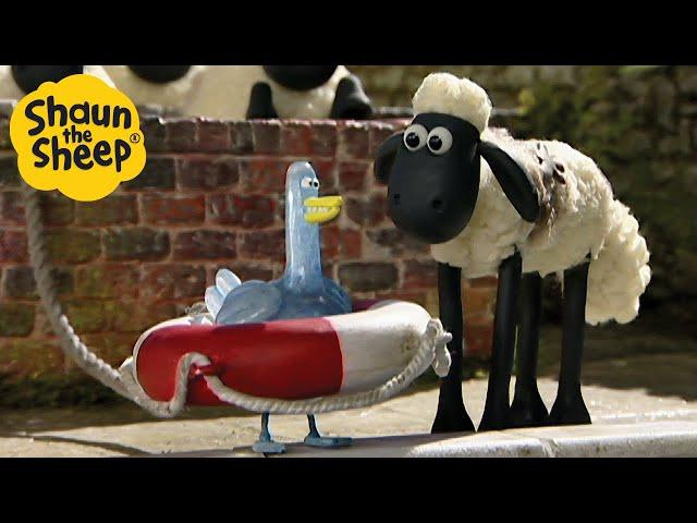 Shaun the Sheep  The Ice Bath  Full Episodes Compilation [1 hour]