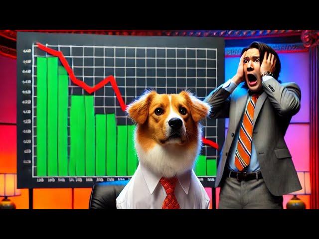 SCAM ALERT! ARE YOU FALLING FOR THE BINK MEME COIN TRAP?