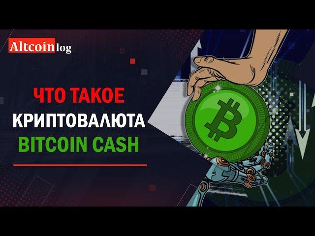 Что такое криптовалюта Bitcoin Cash 2025