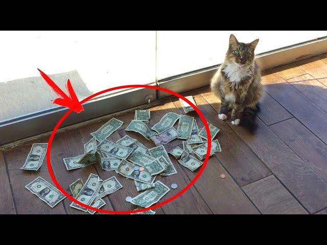 What is the story behind this - By Akash Parihar | Amazing Facts | #short