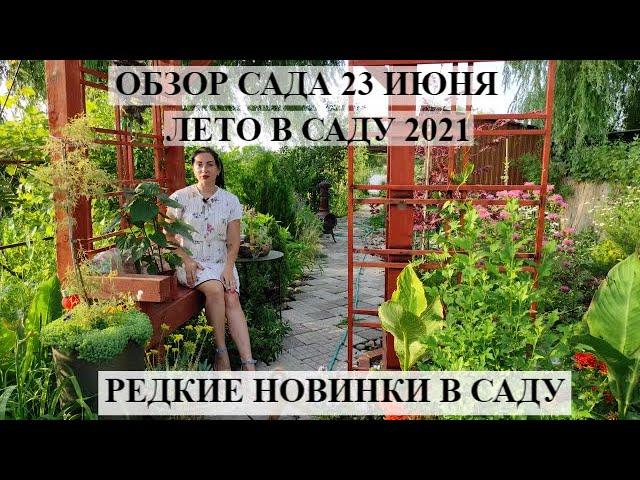 Обзор сада 23 июнь | Цветущий сад летом | НОВЫЕ РАСТЮШКИ В САДУ | ЛЕТО В САДУ 2021