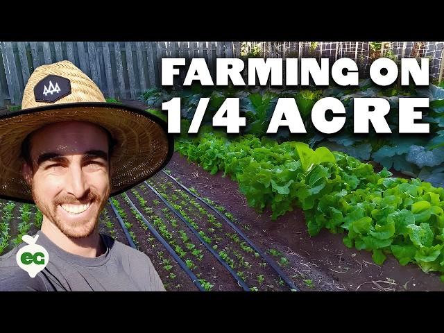 Quitting Your Job To Farm on a Quarter Acre In Your Backyard?