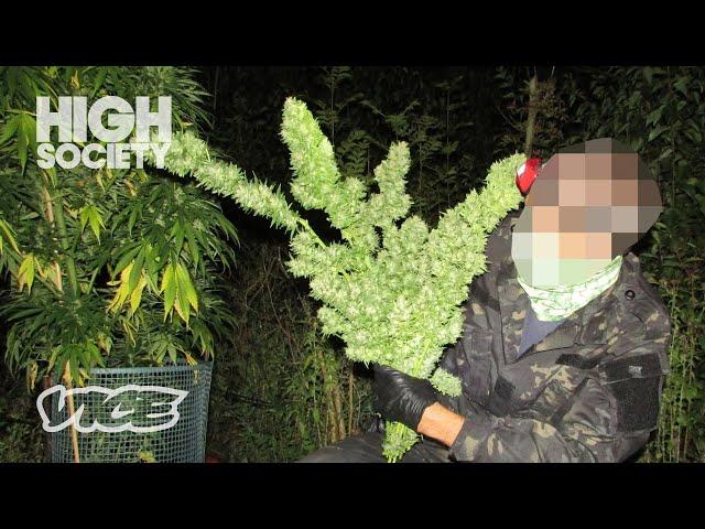 Inside a Secret Weed Farm Hidden in Plain Sight | High Society