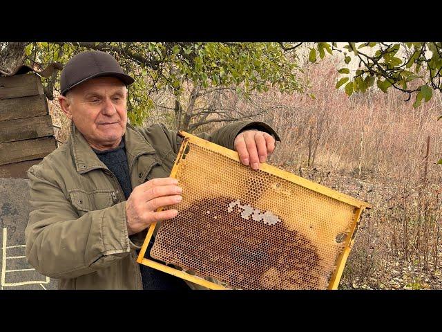 Улей Роже Делона или как получить медицинский мёд со своей пасеки