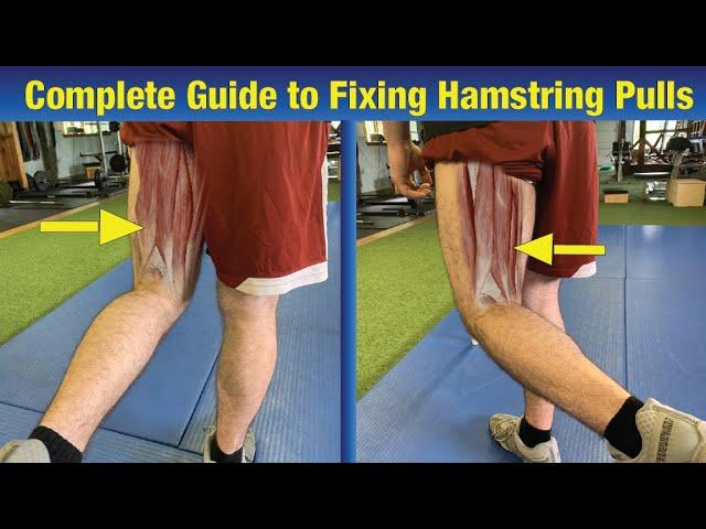 Complete Guide to Fix Hamstring Pulls (GAME CHANGER!)