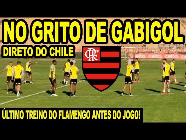 NO GRITO DE GABIGOL! FLAMENGO FAZ ÚLTIMO TREINO NO CHILE PARA JOGO DECISIVO NA LIBERTADORES!