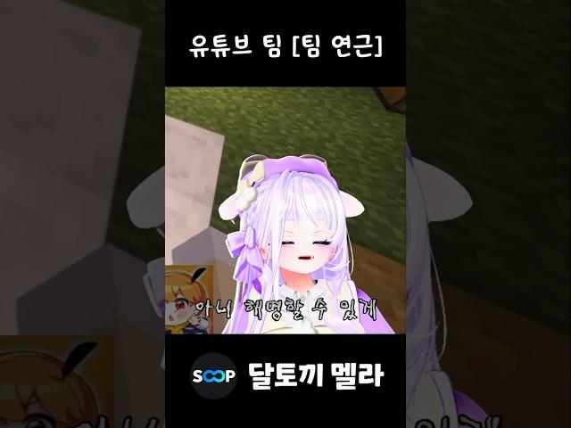 연근도 채소니 팀샐러드라고 주장하는 버튜버 (w. 라프사, 제황)