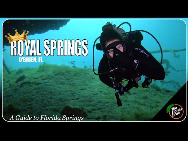 Royal Springs, Diving for FREE!!!