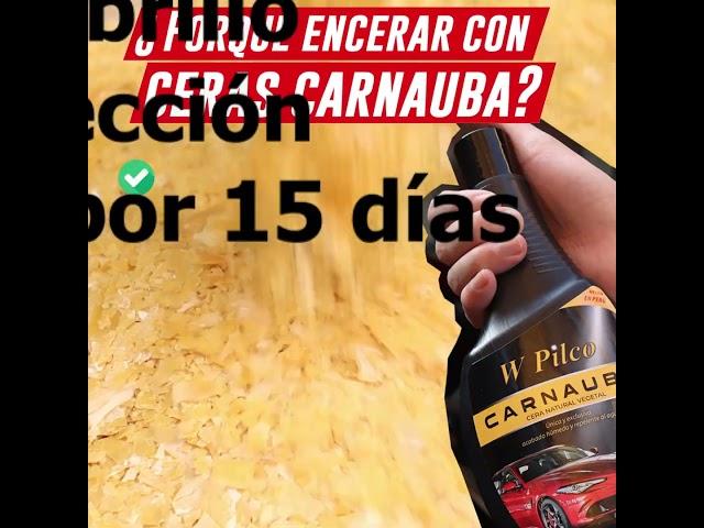 PORQUE ELEGIR CERAS CARNAUBA FINAL