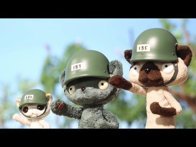 Military Cat | STOP MOTION - BOTOS