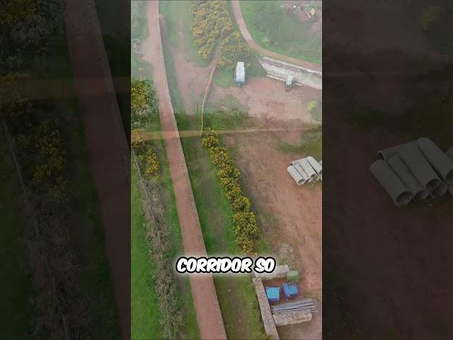 Restoring Canals A Boost for Boats and Wildlife #UKCanals #Wildlife #Nature #Boat #Restoration #DJI