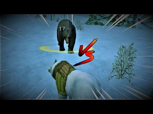 БЕЛЫЙ МЕДВЕДЬ VS ГИГАНТСКИЙ БУРЫЙ МЕДВЕДЬ! | Wildcraft : Симулятор Зверей