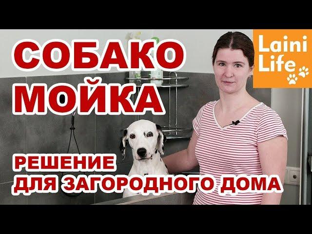 Собакомойка - решение для мытья собак в загородном доме