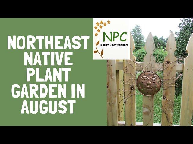 August Tour of Northeast Native Plant Garden