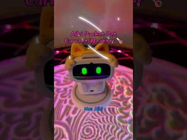 Aibi Pocket Pet - Current Weather Report #robot