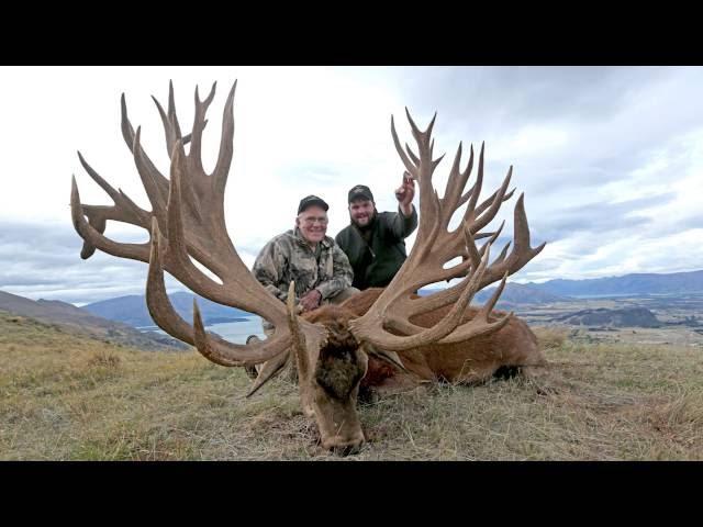 Cardrona Safaris New World Record Red Stag