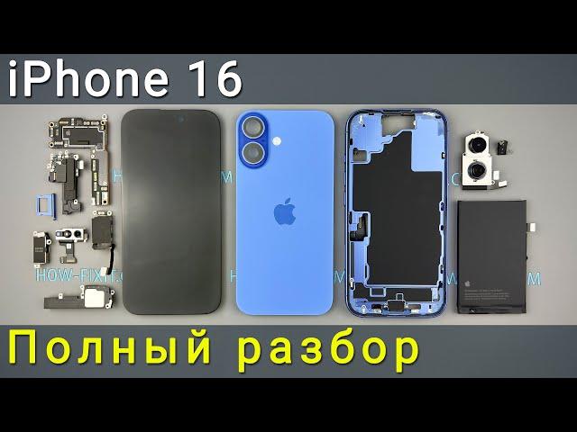 Полный разбор iPhone 16: Новый способ снятия батареи