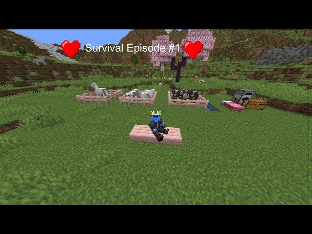 Survival World Episode #1