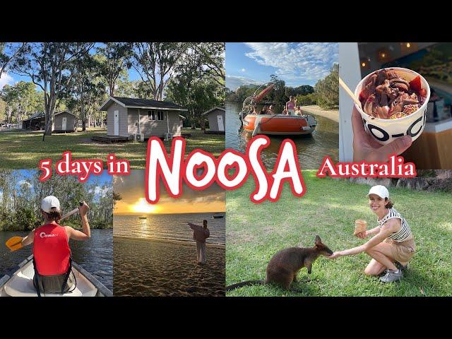 We stayed in cabins surrounded by kangaroos | NOOSA BACKPACKER VLOG, Australia East Coast