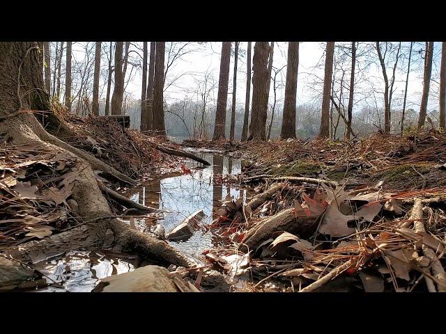 ...almost fell in a tiny creek beside a BIG puddle #faithfulness #martialmindset