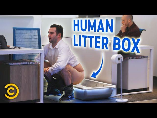 This Office Has Human Litter Boxes for Employees – Mini-Mocks