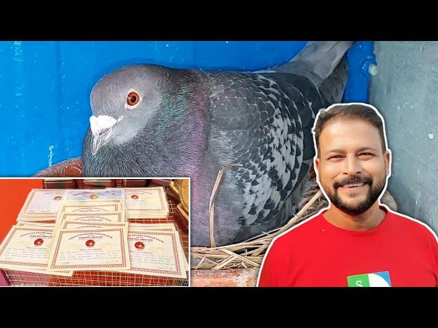 Racing Pigeon Loft of Asim Mondal 2024