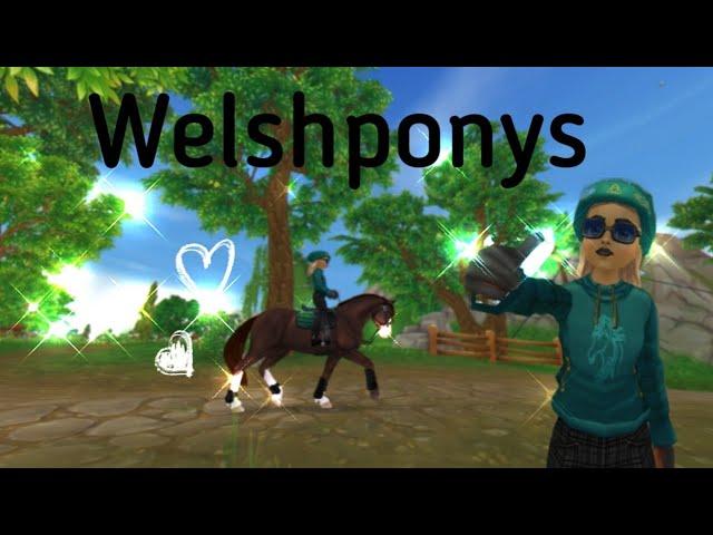 Pferdekauf+ Championat mit dem Welshpony[Julia Stronging]