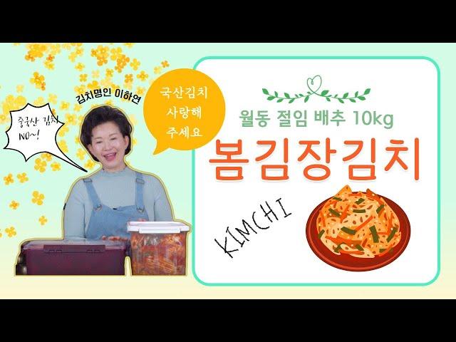 [김치쌤 이하연] 봄김장 담그기 월동절임배추 10kg 안전하고 건강하게 집에서 김치 담궈드세요