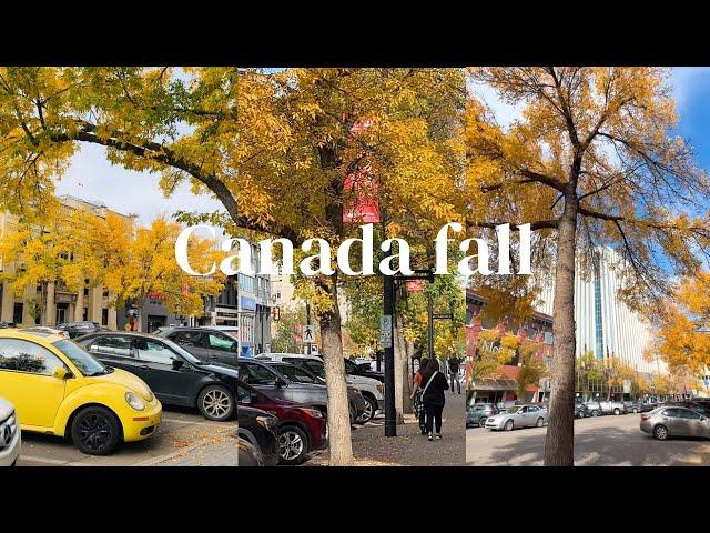 A TYPICAL AUTUMN DAY IN SASKATOON CANADA with relaxing music for sleep