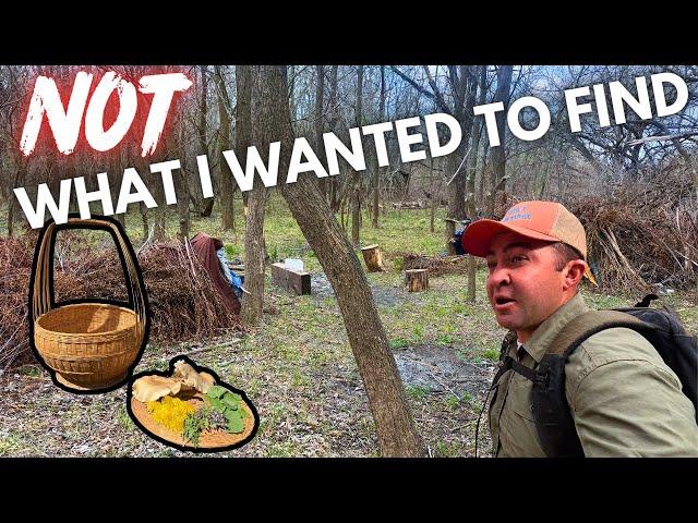 I Found Something CREEPY While Foraging in the Woods...