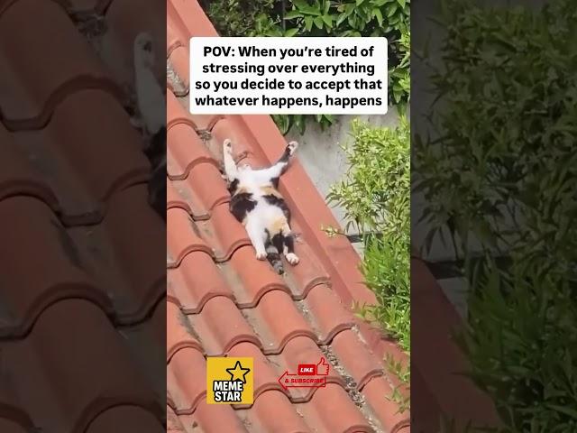 MemeStar #funny #butifyoucloseyoureyes #memes