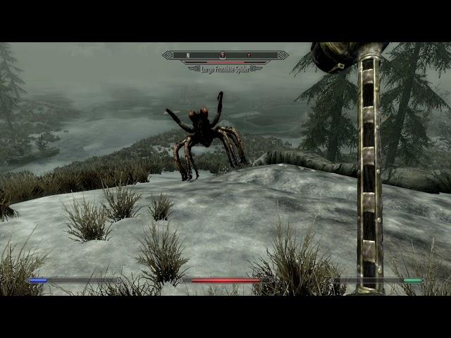 Skyrim (Hunting Large Frostbite Spiders)