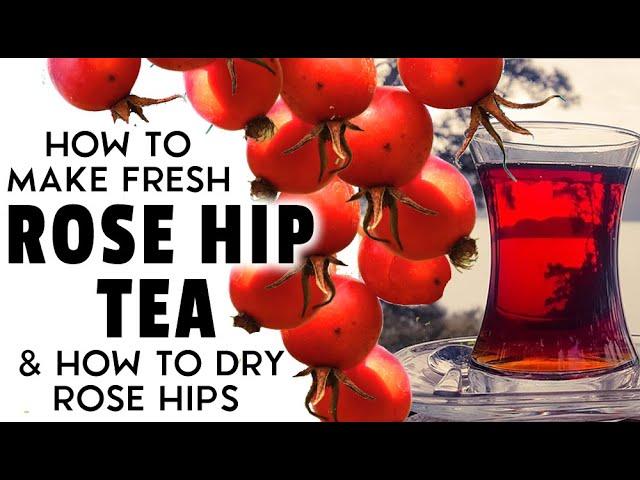 HOW TO MAKE ROSEHIP TEA + HOW TO DRY ROSE HIPS (Rose Hip Tea From BOTH fresh & dried)