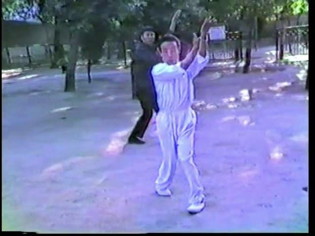 The 3 Internal Arts, Taiji, Bagua, Xingyi