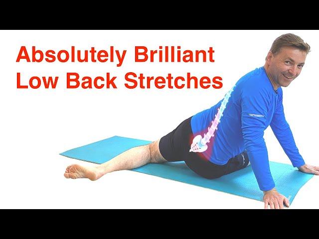 The Best Low Back Stretches | Lower Back Pain Relief Routine (With FREE Exercise Sheet!)