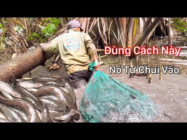 Khủng Khiếp Sau Bao Ngày Chờ Đợi Cả Đàn Thủy Quái Bị Tóm Gọn