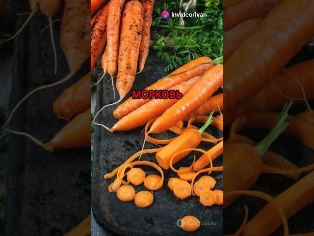 Морковь: История и польза! #здоровье #питание