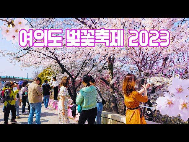 SEOUL YEOUIDO Cherry Blossom Festival 2023, April 1-10, YEOUIDO HANGANG PARK, Seoul Travel Walker.