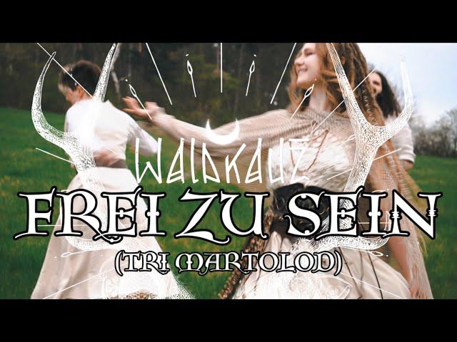 WALDKAUZ || Frei zu sein (Tri Martolod) [Official Music Video]