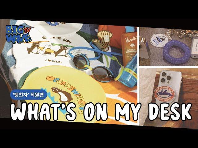 빅웨이브 펭귄스윔클럽 l 펭귄에 미친 '펭친자' 직원의 WHAT'S ON MY DESK