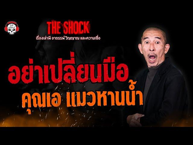 อย่าเปลี่ยนมือ คุณเอ แมวหานน้ำ l TheShock13