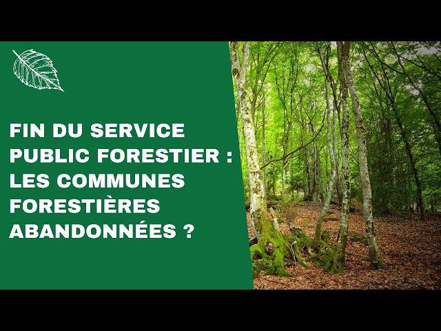 Tout comprendre sur le démantèlement de l'Office National des Forêts (conférence en ligne)