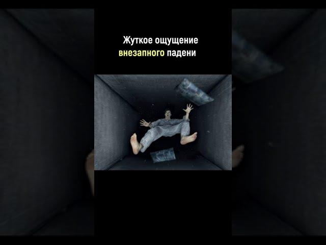 Сон и наука! интересные факты о сне