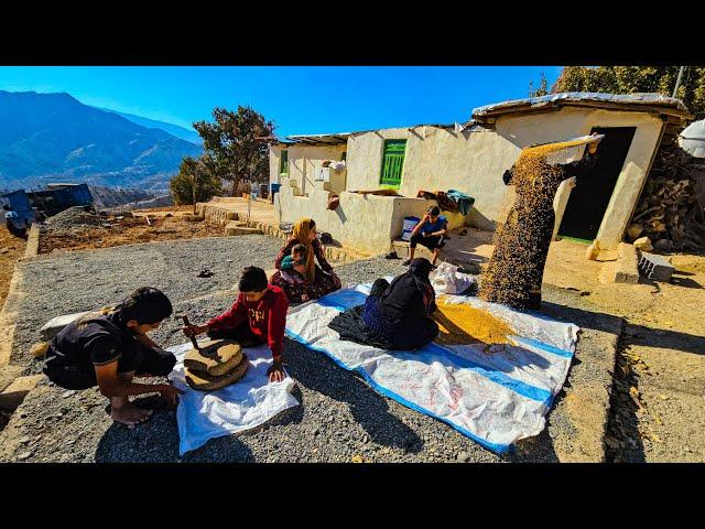 Nomadic life: school for nomadic children: building a platform for a nomadic house