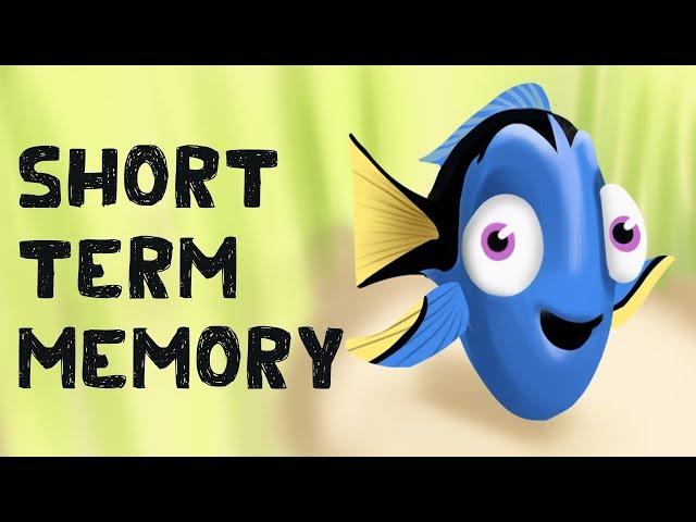 Short Term Memory (Free Test + Examples)