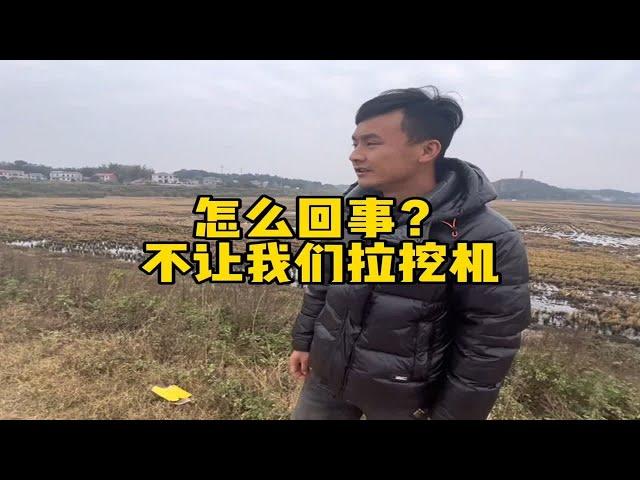 外号大黄蜂的挖机究竟有什么不同？