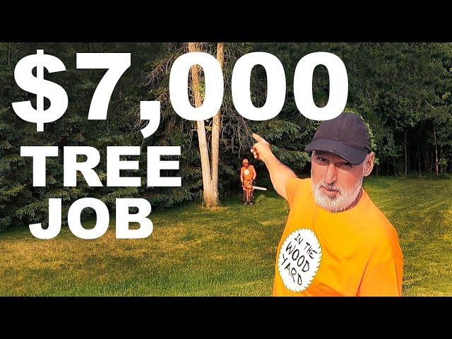 $7,000 TREE REMOVAL JOB!